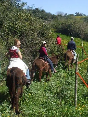 Agriturismo Agrimilo Villa Petracca Farm stay Noto