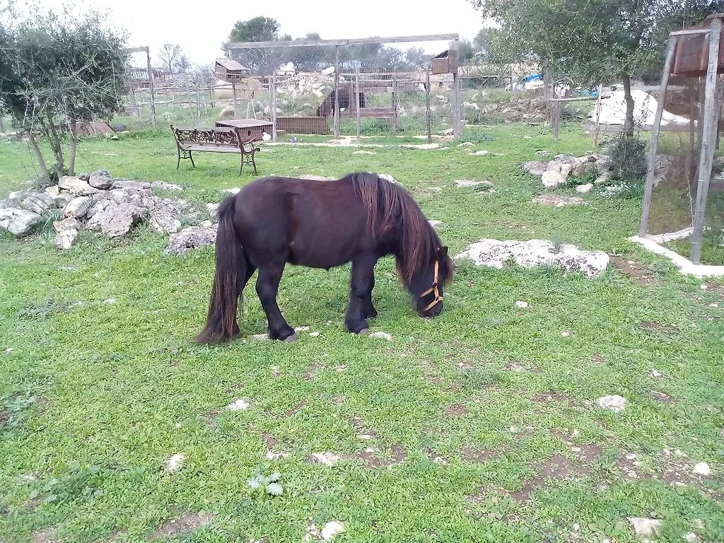 Agriturismo Agrimilo Villa Petracca